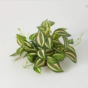Plant Orb, Spring leaves, Pot Filler, Container Filler